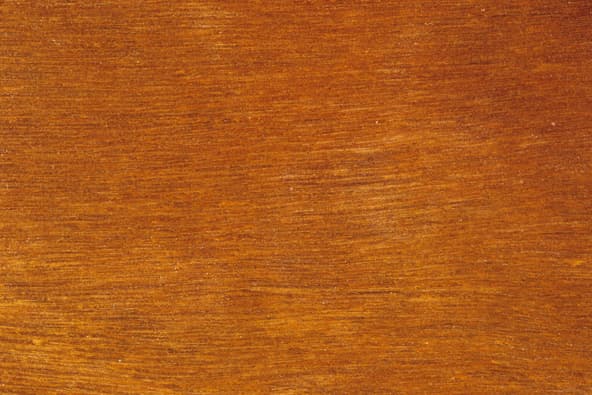 Spotted gum timber sample (Corymbia maculata) showing its warm reddish-brown grain