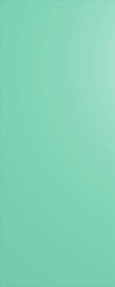 Flush doors pocket door leaf