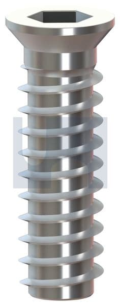 Timber Ins CSK Hex Socket R/H