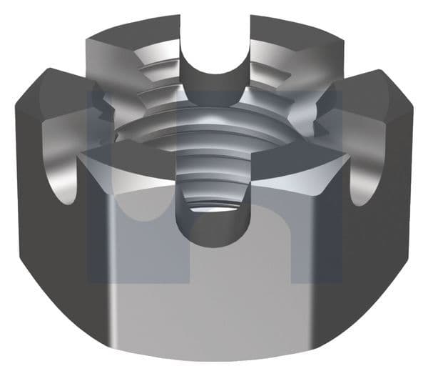 Slotted Nut