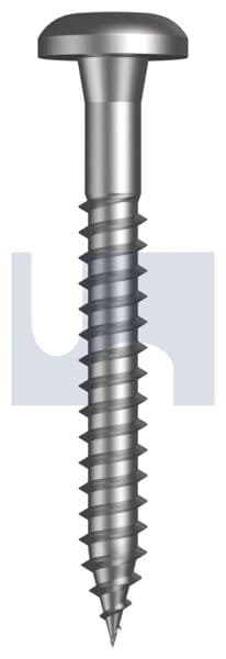 Type A Button Post Torx Screw