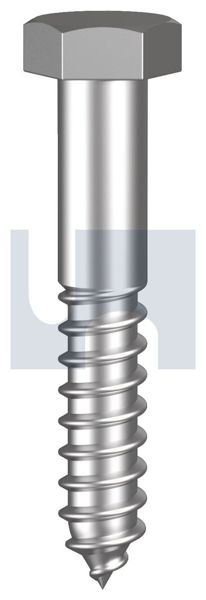 Coach Screw