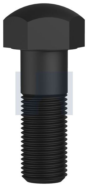 Track Bolt