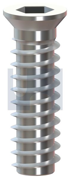 Timber Ins CSK Hex Socket R/H