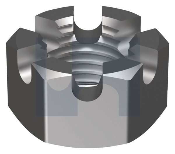 Slotted Nut