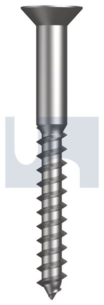 Countersunk Coach Screw