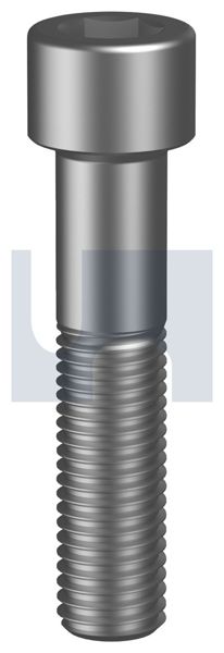 Socket Screws